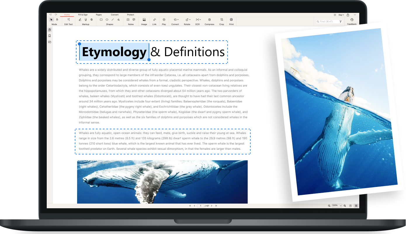 Document modification interface preview